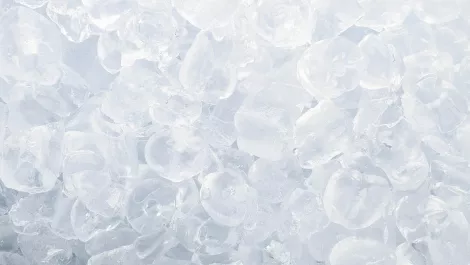 Social Media Charity Crazes - will there be another ice bucket challenge?