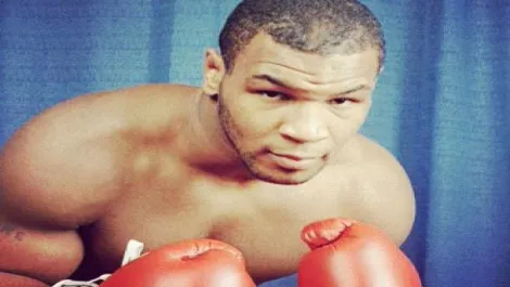 Dotcom lessons in Mike Tyson's knockout