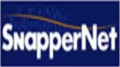 Snappernet comes under single directorship