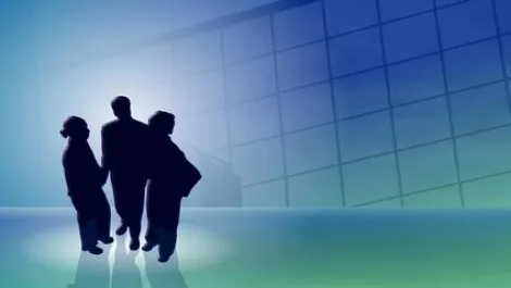 On demand ERP in the enterprise