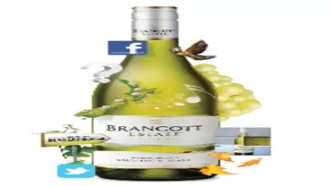 Brancott estate releases world's most curious bottle