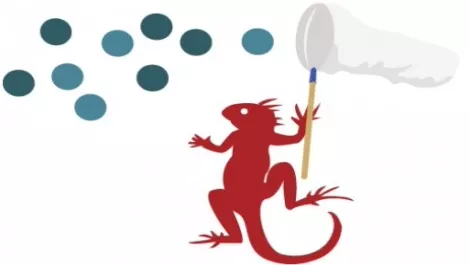 A slick website captures leads