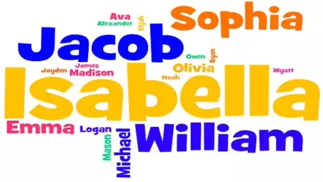 How popular is your name?