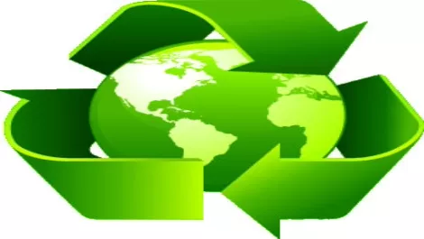 Going green on the bottom line