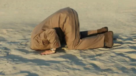 Get your head out of the sand - software and development the way forward
