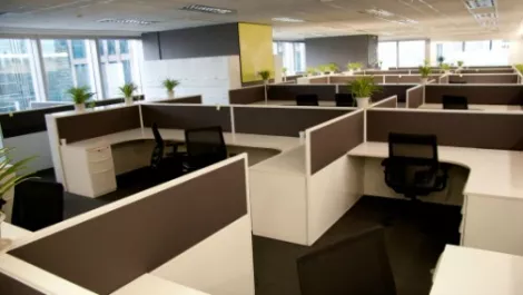 Kiwi IT professionals in short supply