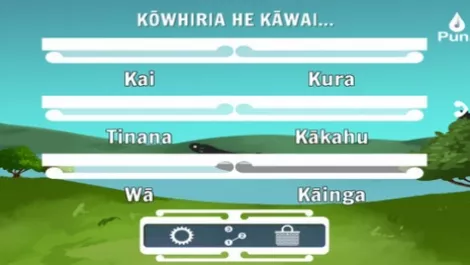 New Te Reo Maori app targets total beginners