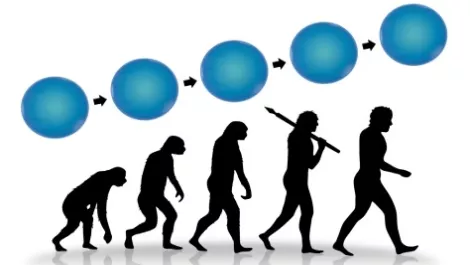 ANZ CIOs leading digital transformation