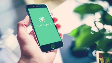 The latest in Kiwi innovation: An interactive language learning app