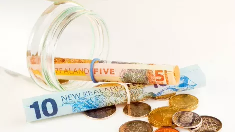 SAP NZ takes massive profit hit with cloud and software revenue down, services up