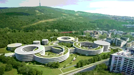 Kiwi software provider recognised as one of the world's 'hot vendors' in BPM