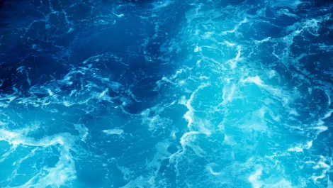 Thinkstockphotos 679811634