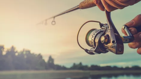 Screen shot 2018 09 13 at 3