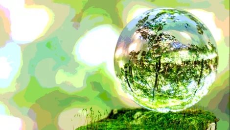 Screen shot 2018 11 02 at 10