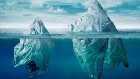 New app launches to protect our oceans