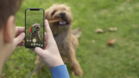 Feeling lonely online? Share a pic of your pet, says psychologist