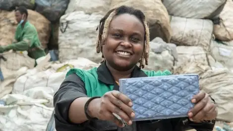 Solving the plastic crisis brick by brick