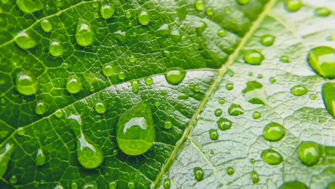 Gettyimages 1191133213