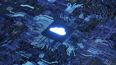 IDC survey outlines critical investments for MSPs