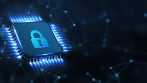 Over a quarter of people have had data breached - survey